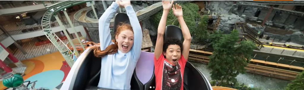 fairy-odd-coaster