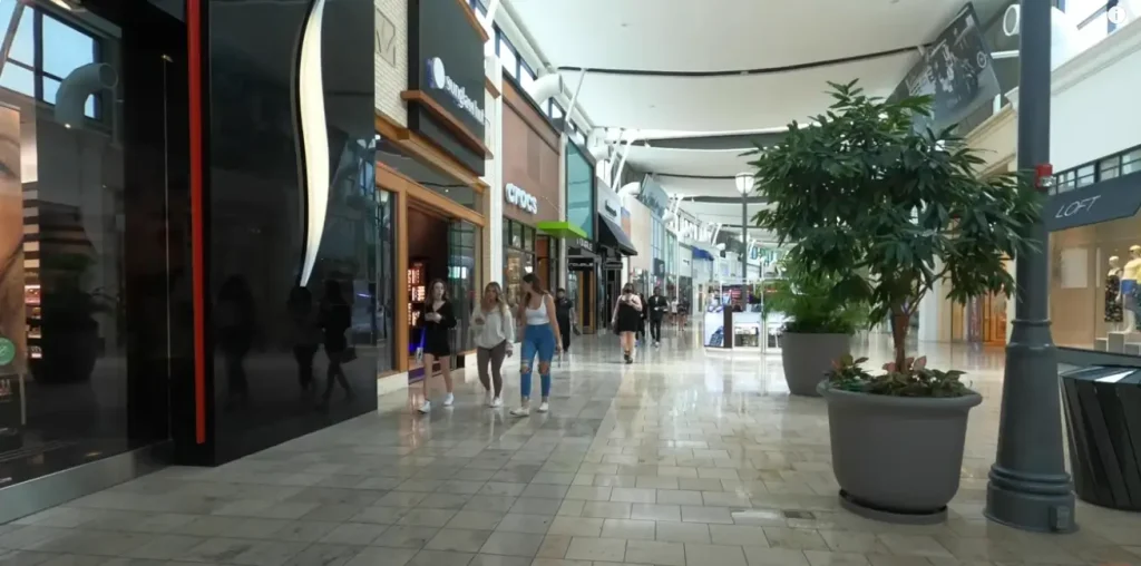 citrus park town center mall